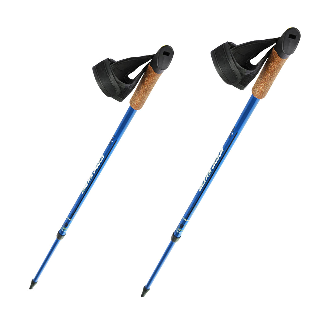 NW607 BLUE NORDIC WALKING POLES NILS