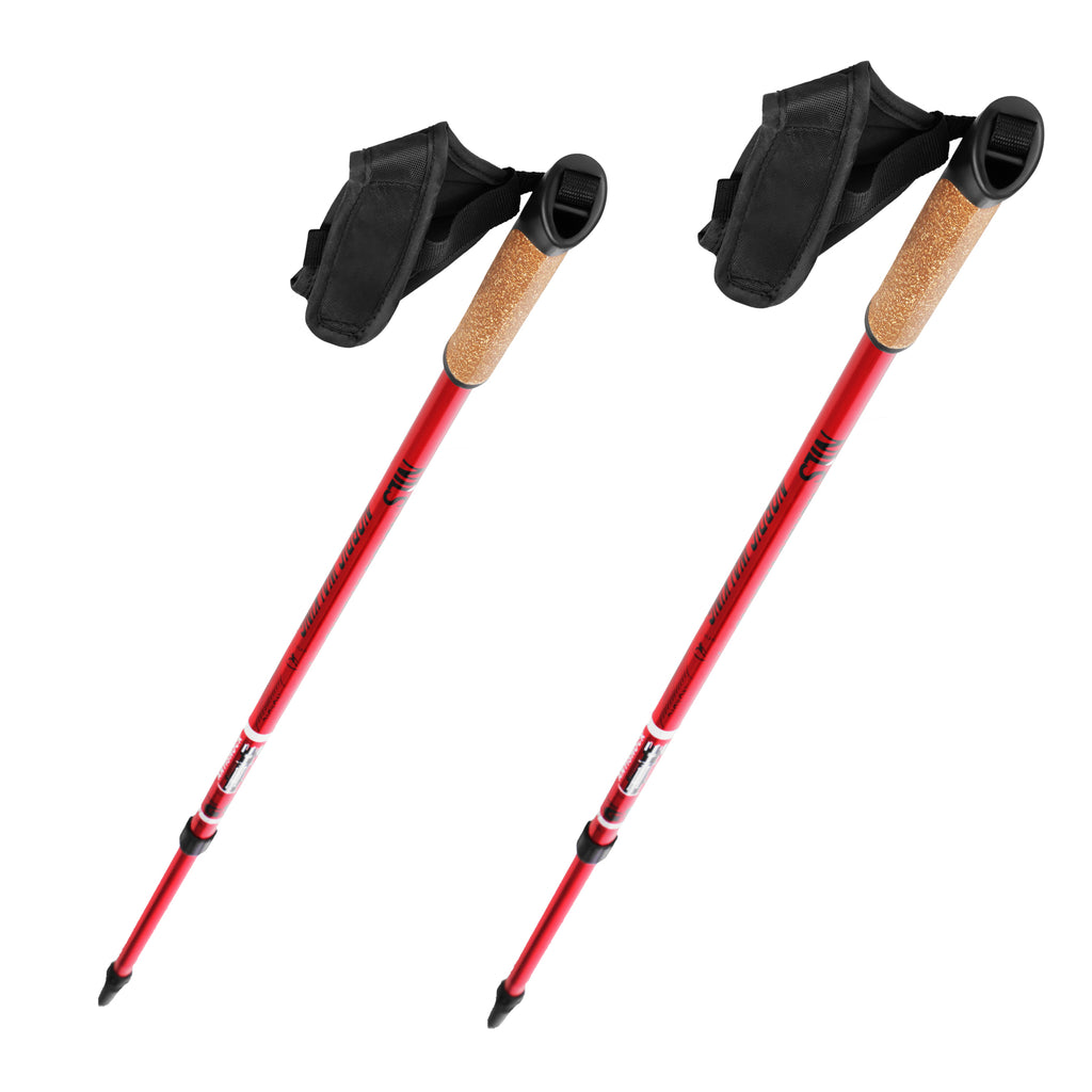 NW802 NORDIC WALKING POLES NILS