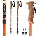 TK696 TREKKING POLES NILS